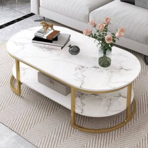 2 Tier Coffee Table,with Storage Open Shelf, Imitation Marble Surface Top & Sturdy Metal Legs Industrial Sofa Table for Living Room Modern Design Home Furniture,Light Grey,120×60×45CM Brand: WR3BJ9AZX[T754]